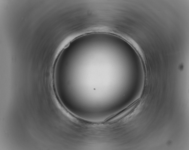 X0000094321389200711091331