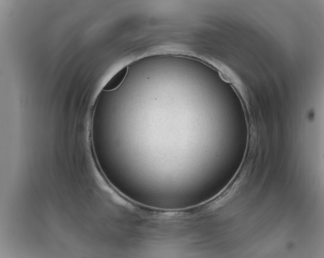X0000094321390200711091331