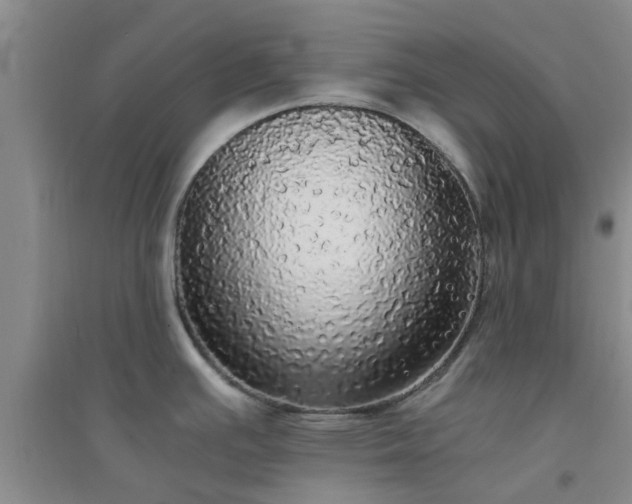 X0000094321391200711091331