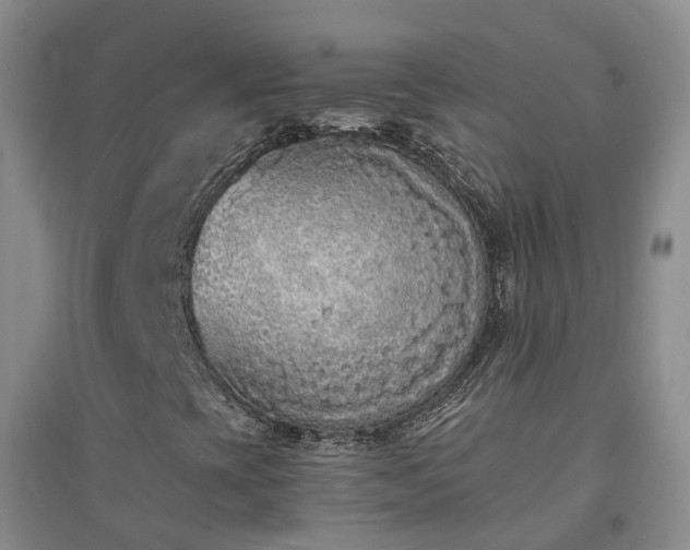X0000094321393200711091330