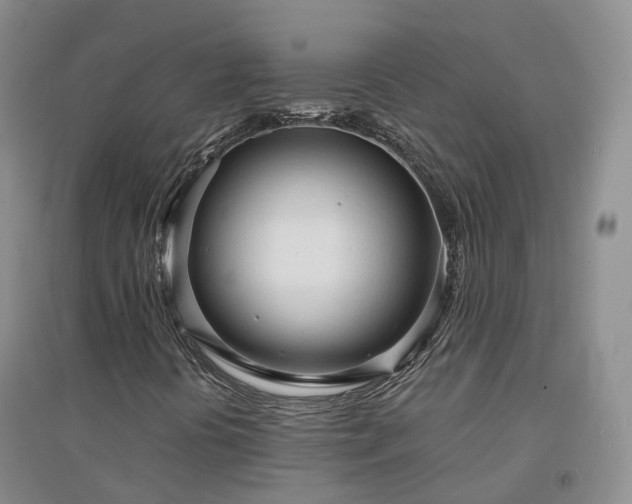 X0000094321394200711091330