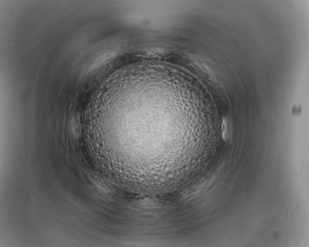 X0000094321395200711091330