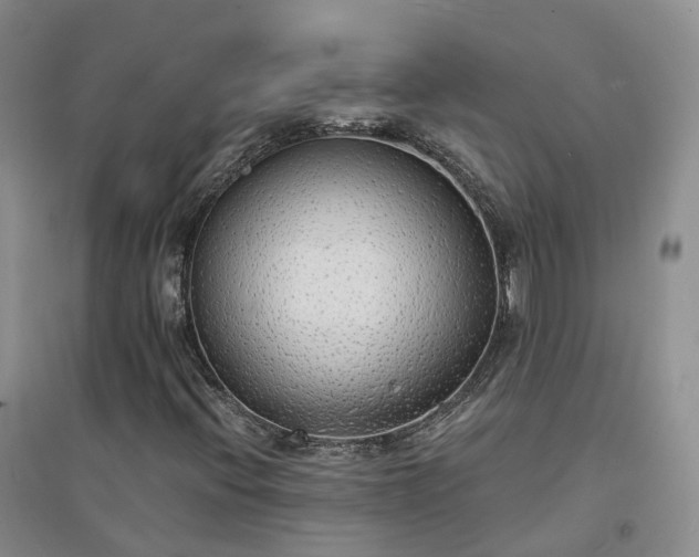 X0000094321396200711091330