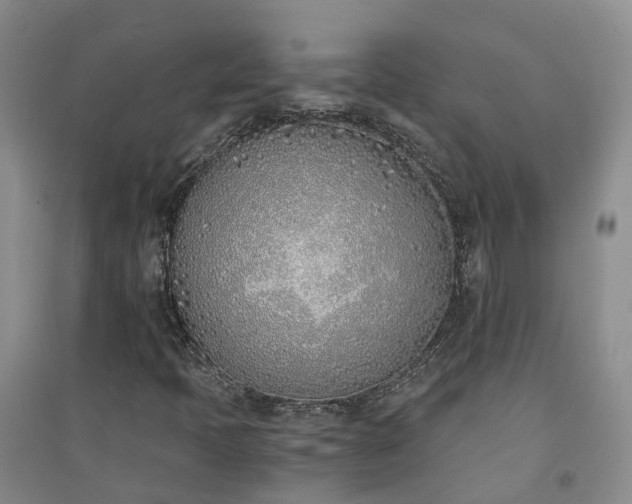 X0000094321397200711091330