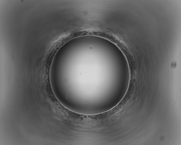 X0000094321398200711091330