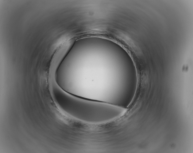 X0000094321402200711091330
