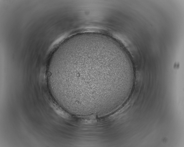X0000094321403200711091331