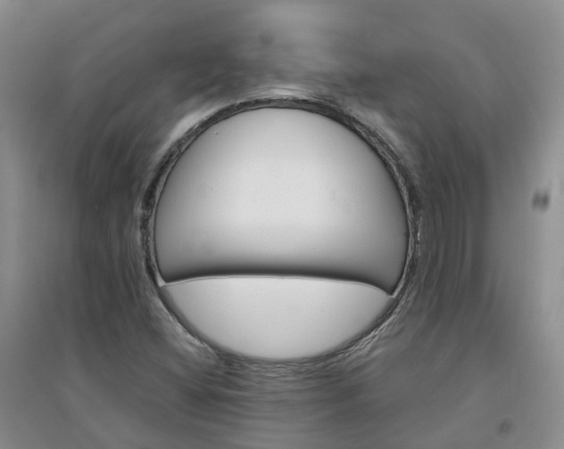 X0000094321404200711091331
