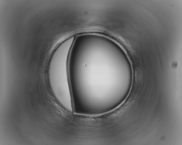 X0000094321405200711091331