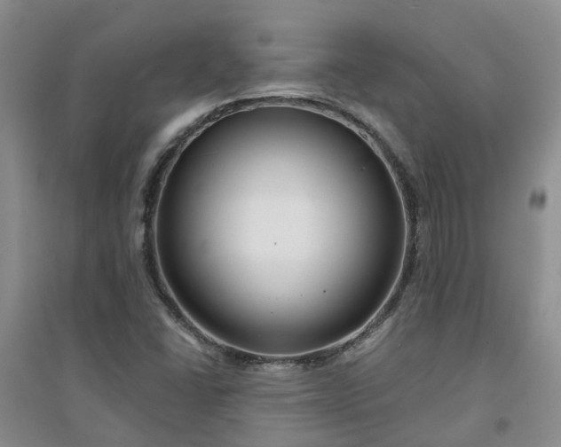 X0000094321406200711091331