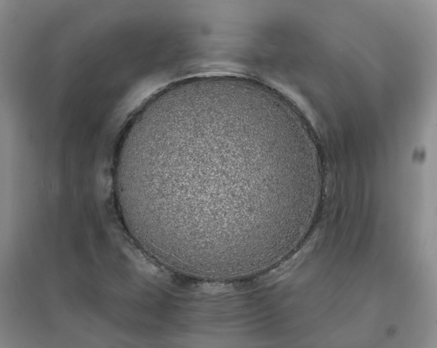 X0000094321407200711091331