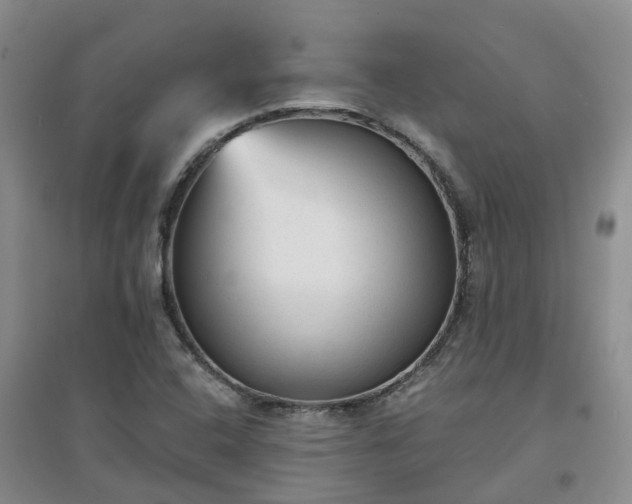 X0000094321408200711091331