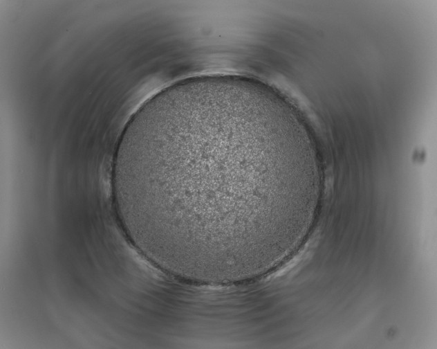 X0000094321409200711091331