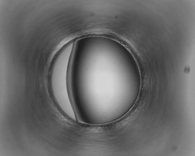 X0000094321410200711091331