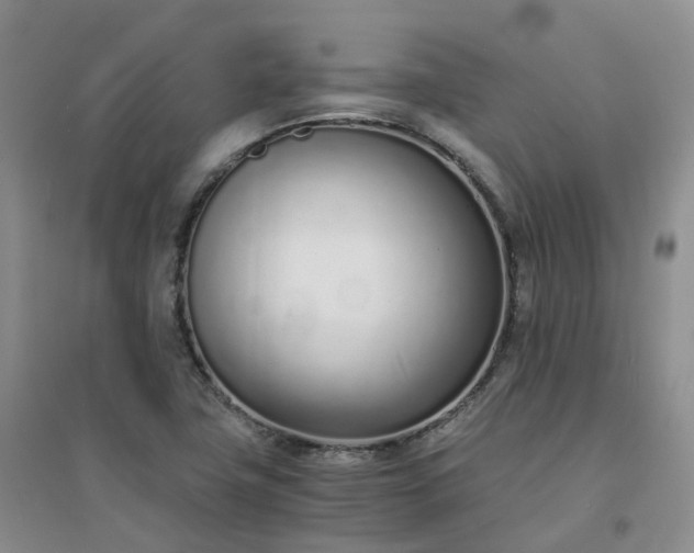 X0000094321411200711091331