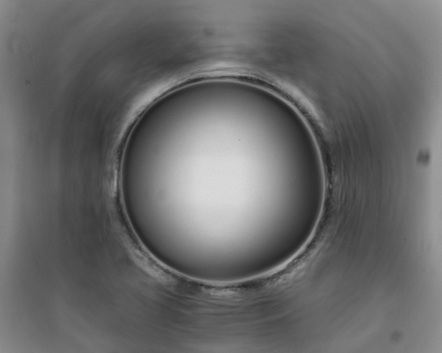 X0000094321413200711091331