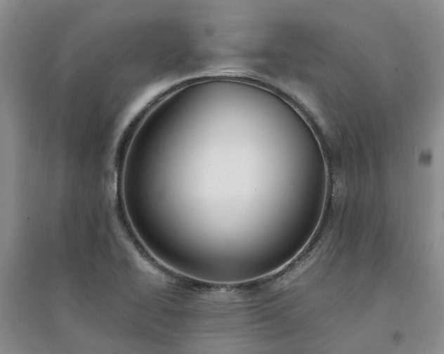 X0000094321414200711091331
