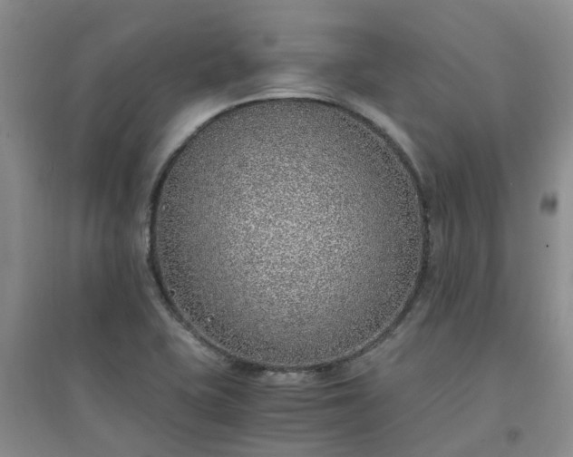 X0000094321415200711091331