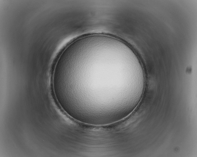 X0000094321416200711091331