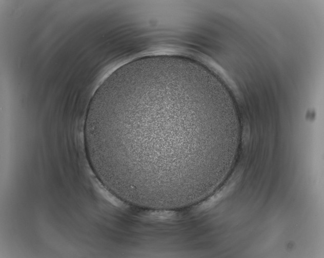 X0000094321417200711091331