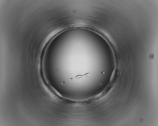 X0000094321418200711091331