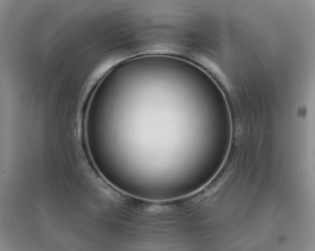 X0000094321419200711091331