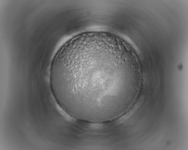 X0000094321421200711091331