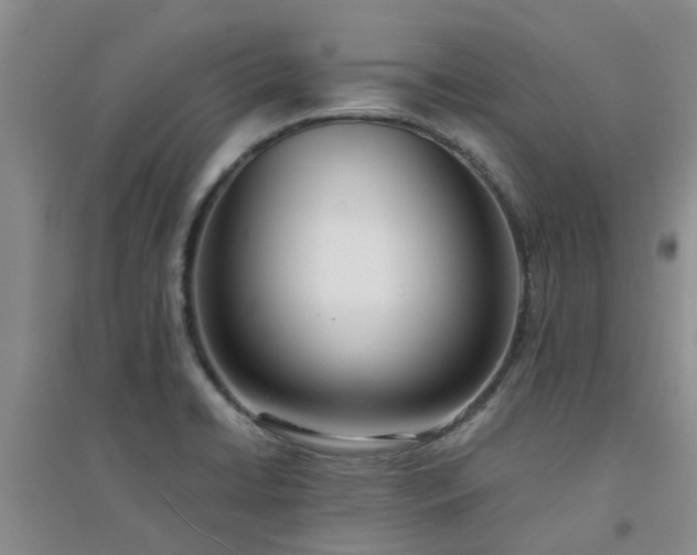 X0000094321422200711091331
