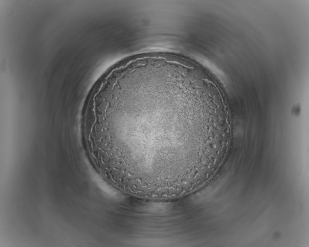 X0000094321423200711091331