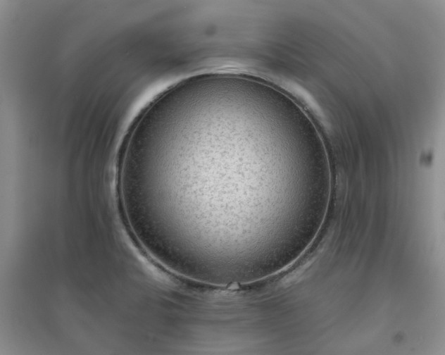 X0000094321424200711091331