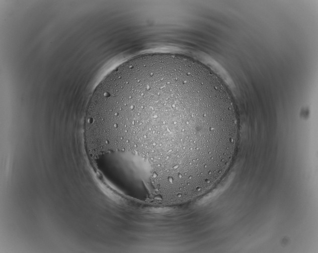 X0000094321425200711091331