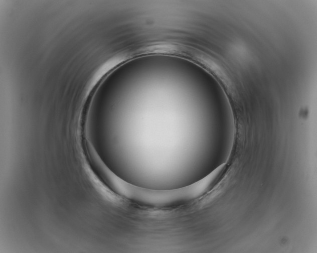 X0000094321426200711091331