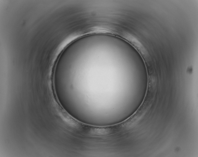 X0000094321427200711091331
