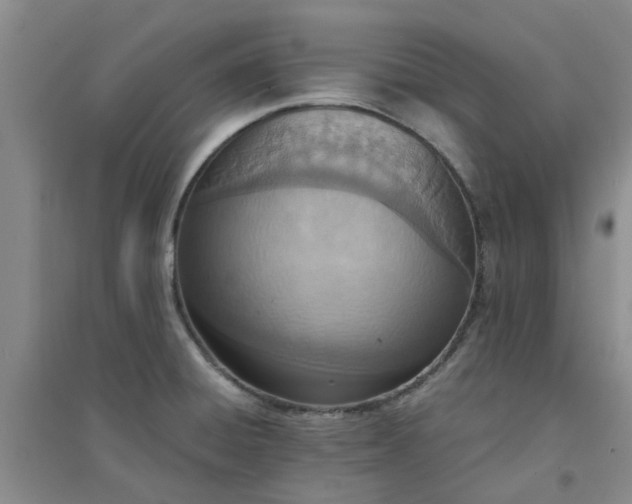 X0000094321428200711091331