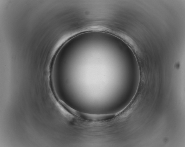 X0000094321430200711091331