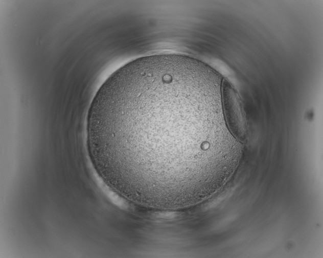 X0000094321431200711091331