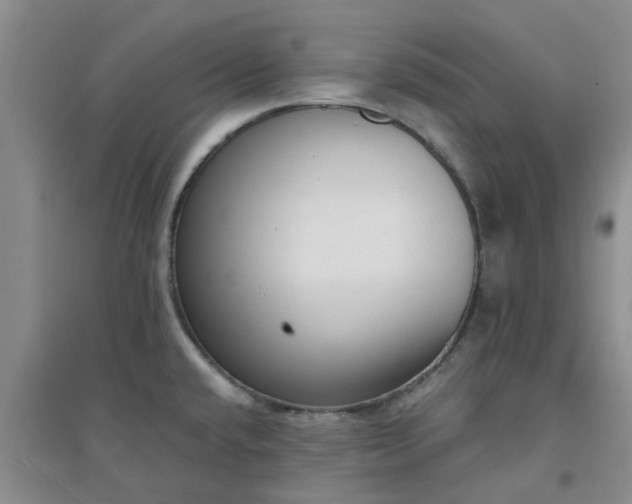 X0000094321432200711091331