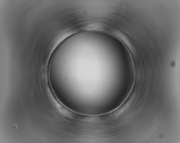 X0000094321434200711091331