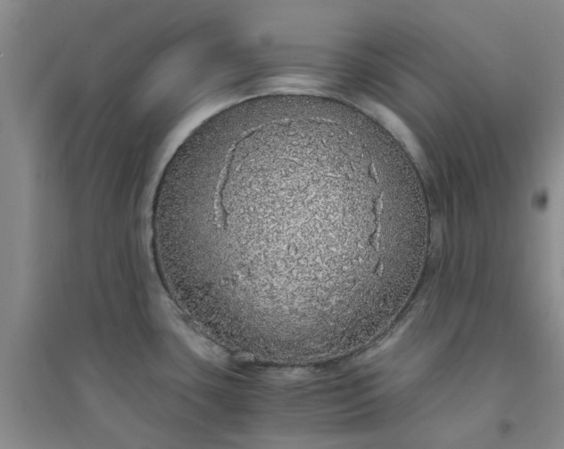 X0000094321435200711091331