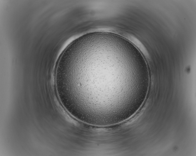 X0000094321436200711091331