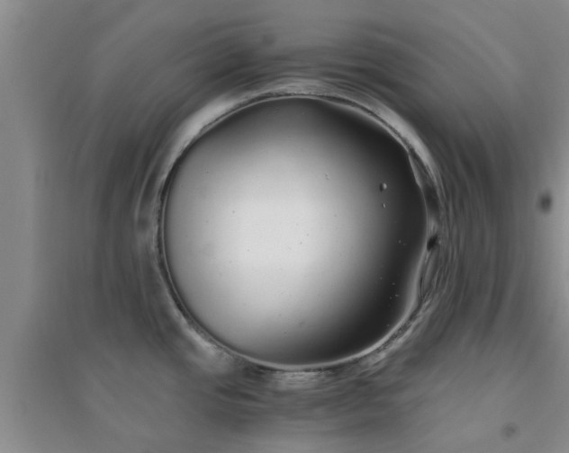 X0000094321437200711091331