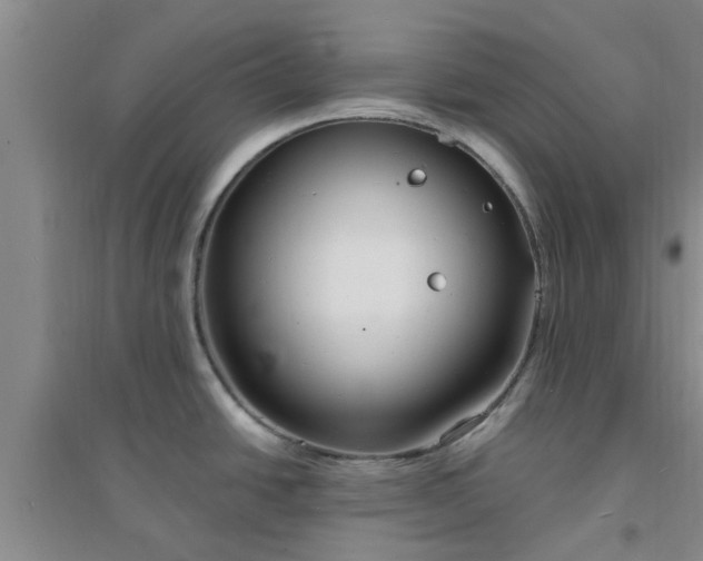X0000094321438200711091331