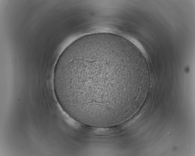 X0000094321439200711091331