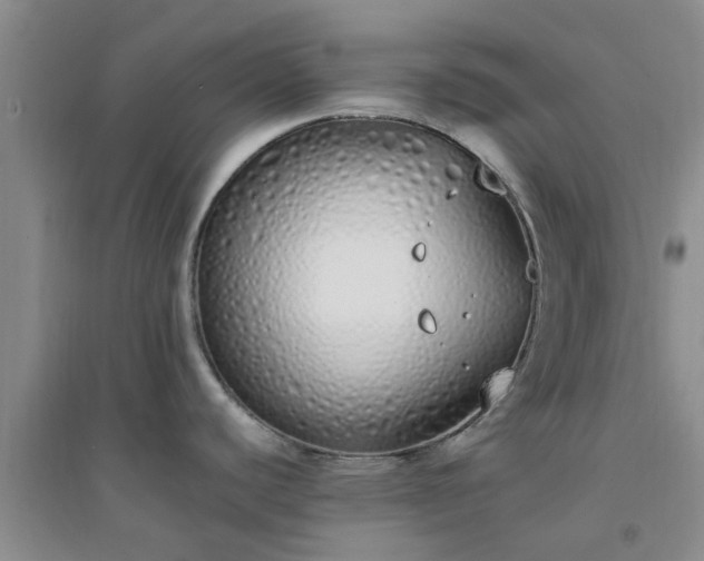 X0000094321440200711091331