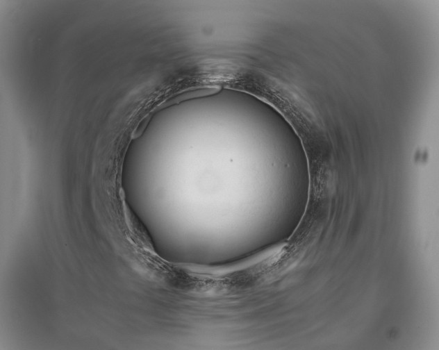 X0000094321441200711091330