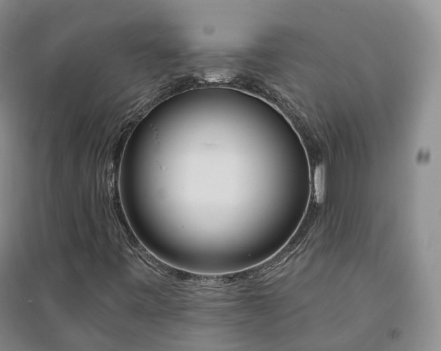 X0000094321443200711091330