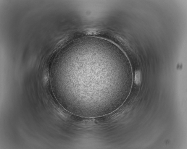 X0000094321444200711091330