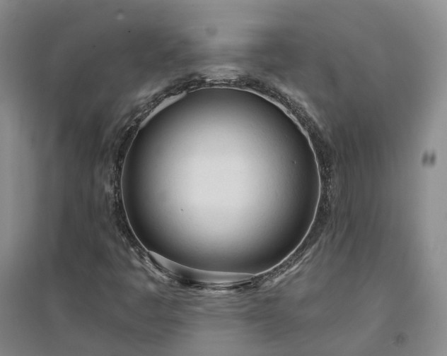 X0000094321445200711091330