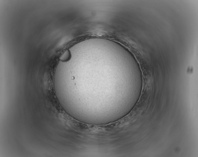 X0000094321446200711091330