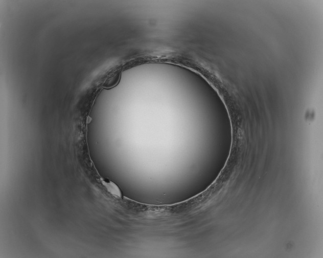 X0000094321447200711091330